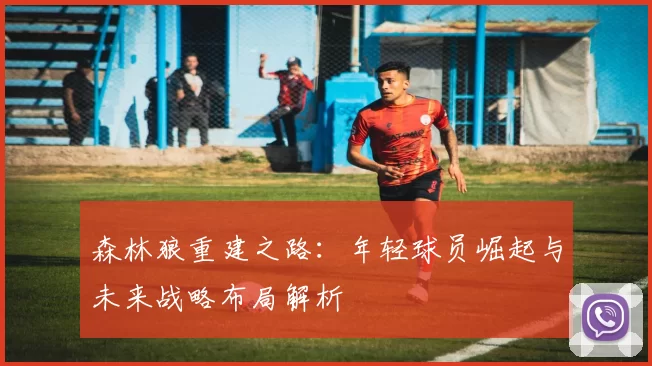 森林狼重建之路：年轻球员崛起与未来战略布局解析