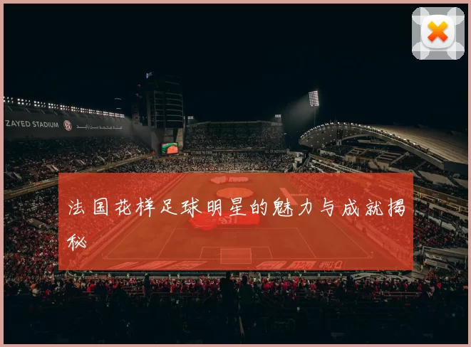 法国花样足球明星的魅力与成就揭秘