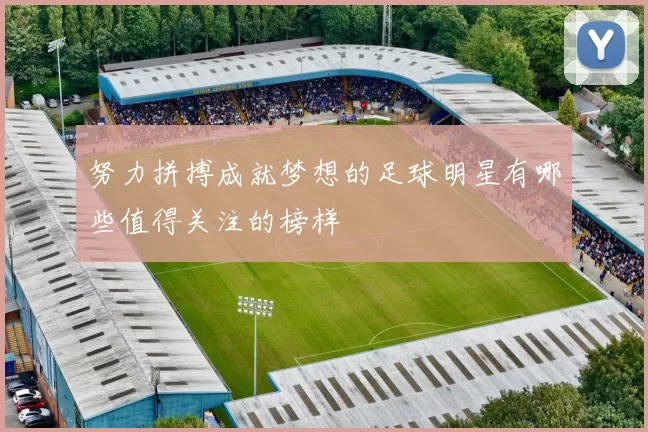 努力拼搏成就梦想的足球明星有哪些值得关注的榜样