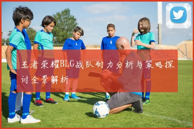 王者荣耀BLG战队耐力分析与策略探讨全景解析