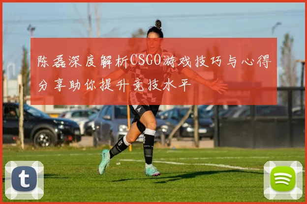 陈磊深度解析CSGO游戏技巧与心得分享助你提升竞技水平