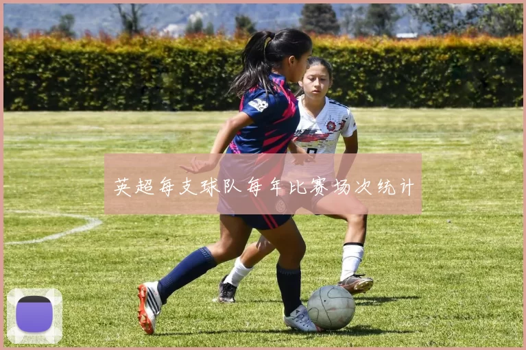 英超每支球队每年比赛场次统计