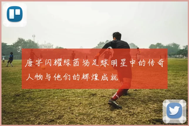 唐字闪耀绿茵场足球明星中的传奇人物与他们的辉煌成就