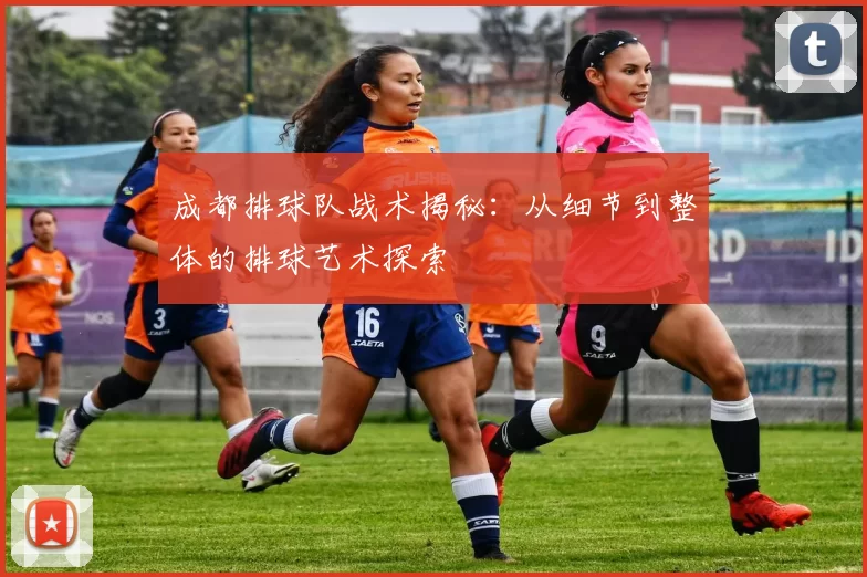 成都排球队战术揭秘：从细节到整体的排球艺术探索