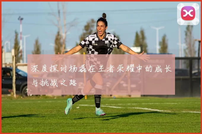 深度探讨杨磊在王者荣耀中的成长与挑战之路