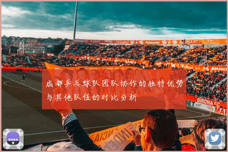 成都乒乓球队团队协作的独特优势与其他队伍的对比分析