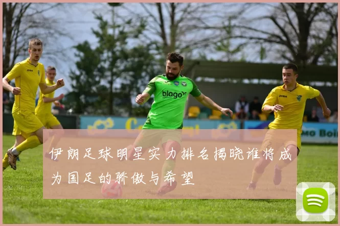 伊朗足球明星实力排名揭晓谁将成为国足的骄傲与希望