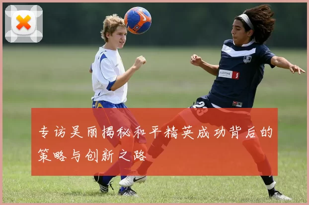 专访吴丽揭秘和平精英成功背后的策略与创新之路