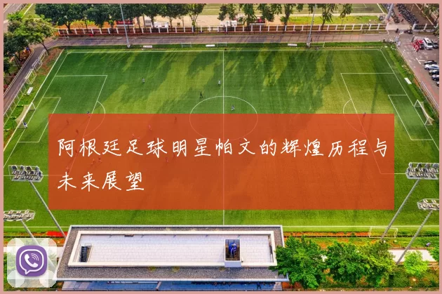 阿根廷足球明星帕文的辉煌历程与未来展望
