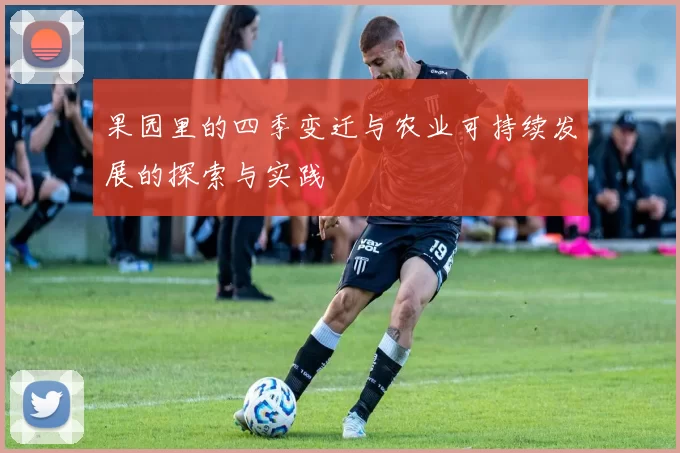 果园里的四季变迁与农业可持续发展的探索与实践