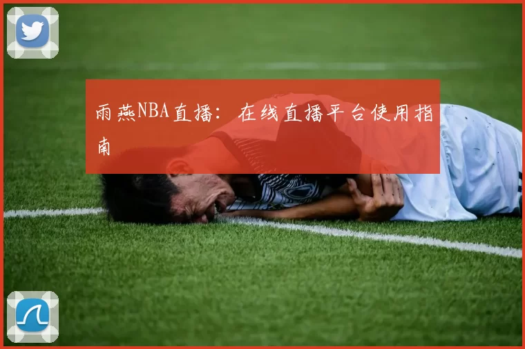 雨燕NBA直播：在线直播平台使用指南