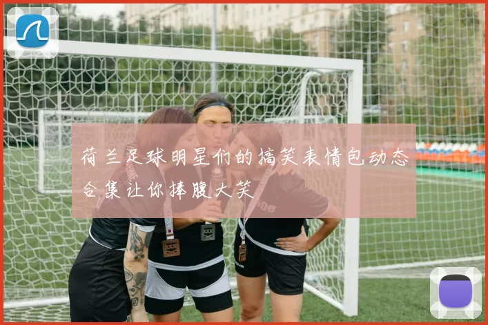 荷兰足球明星们的搞笑表情包动态合集让你捧腹大笑