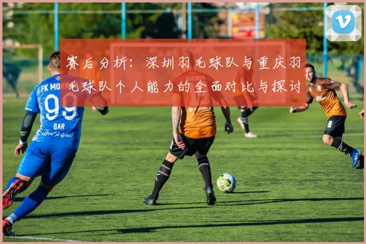 赛后分析：深圳羽毛球队与重庆羽毛球队个人能力的全面对比与探讨