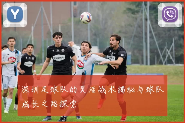 深圳足球队的灵活战术揭秘与球队成长之路探索