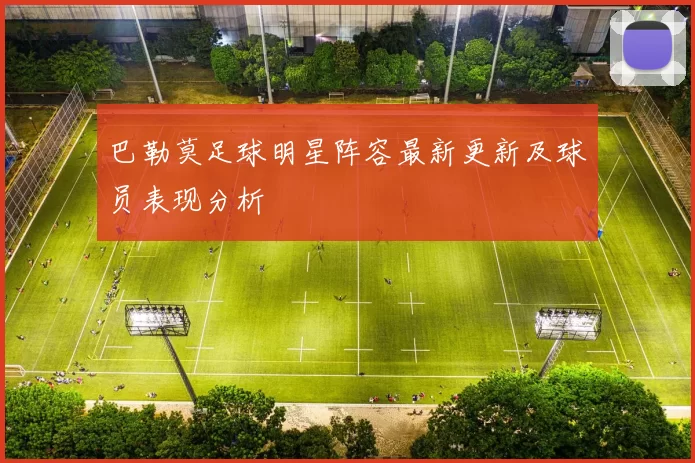 巴勒莫足球明星阵容最新更新及球员表现分析
