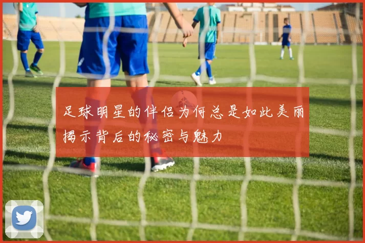 足球明星的伴侣为何总是如此美丽揭示背后的秘密与魅力