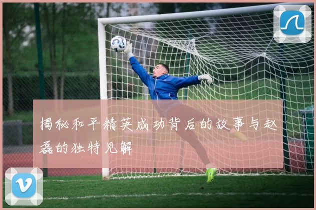 揭秘和平精英成功背后的故事与赵磊的独特见解