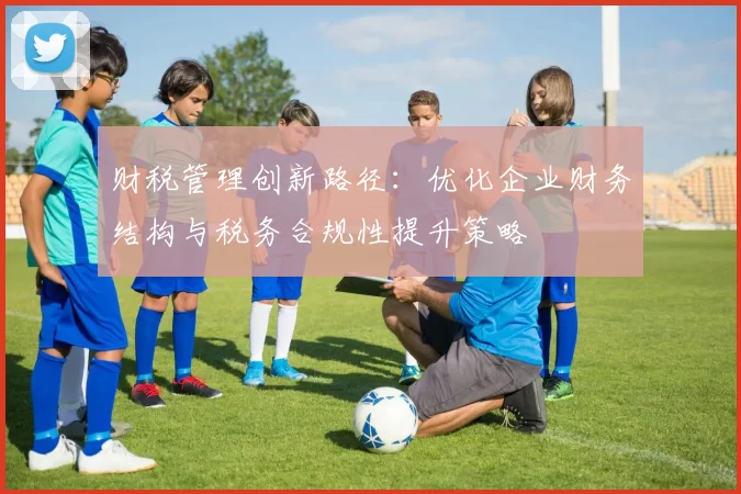 财税管理创新路径：优化企业财务结构与税务合规性提升策略