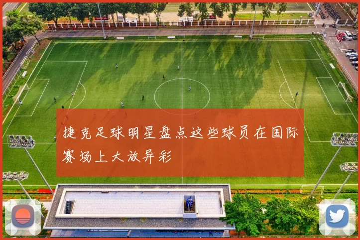 捷克足球明星盘点这些球员在国际赛场上大放异彩