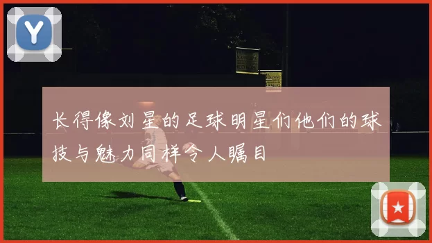 长得像刘星的足球明星们他们的球技与魅力同样令人瞩目
