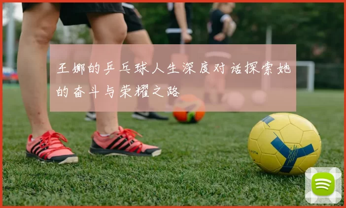 王娜的乒乓球人生深度对话探索她的奋斗与荣耀之路