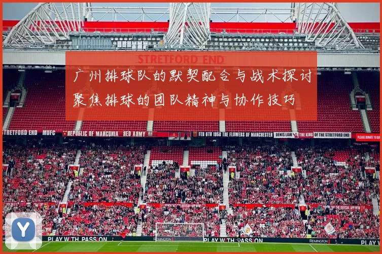 广州排球队的默契配合与战术探讨聚焦排球的团队精神与协作技巧