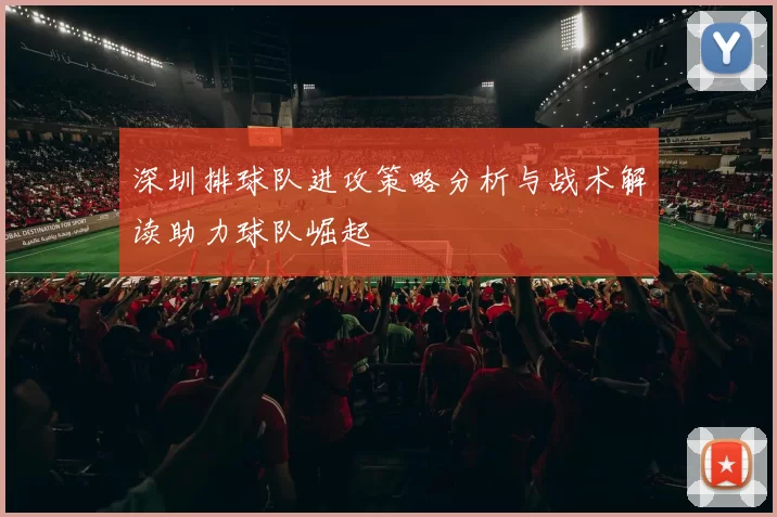 深圳排球队进攻策略分析与战术解读助力球队崛起