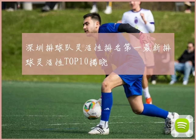 深圳排球队灵活性排名第一最新排球灵活性TOP10揭晓