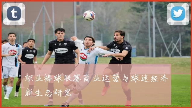 职业棒球联赛商业运营与球迷经济新生态研究
