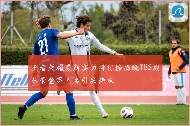 王者荣耀最新实力排行榜揭晓TES战队荣登第六名引发热议
