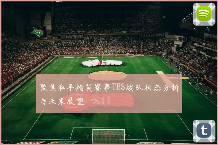聚焦和平精英赛事TES战队状态分析与未来展望