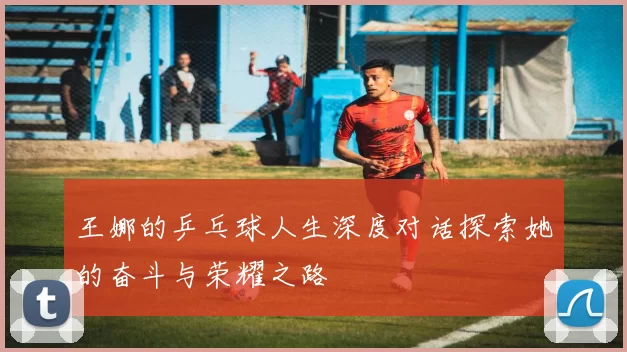 王娜的乒乓球人生深度对话探索她的奋斗与荣耀之路