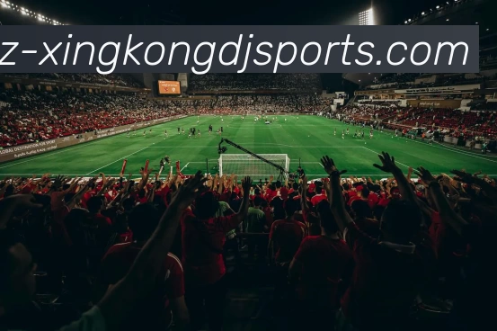 星空体育平台生态图